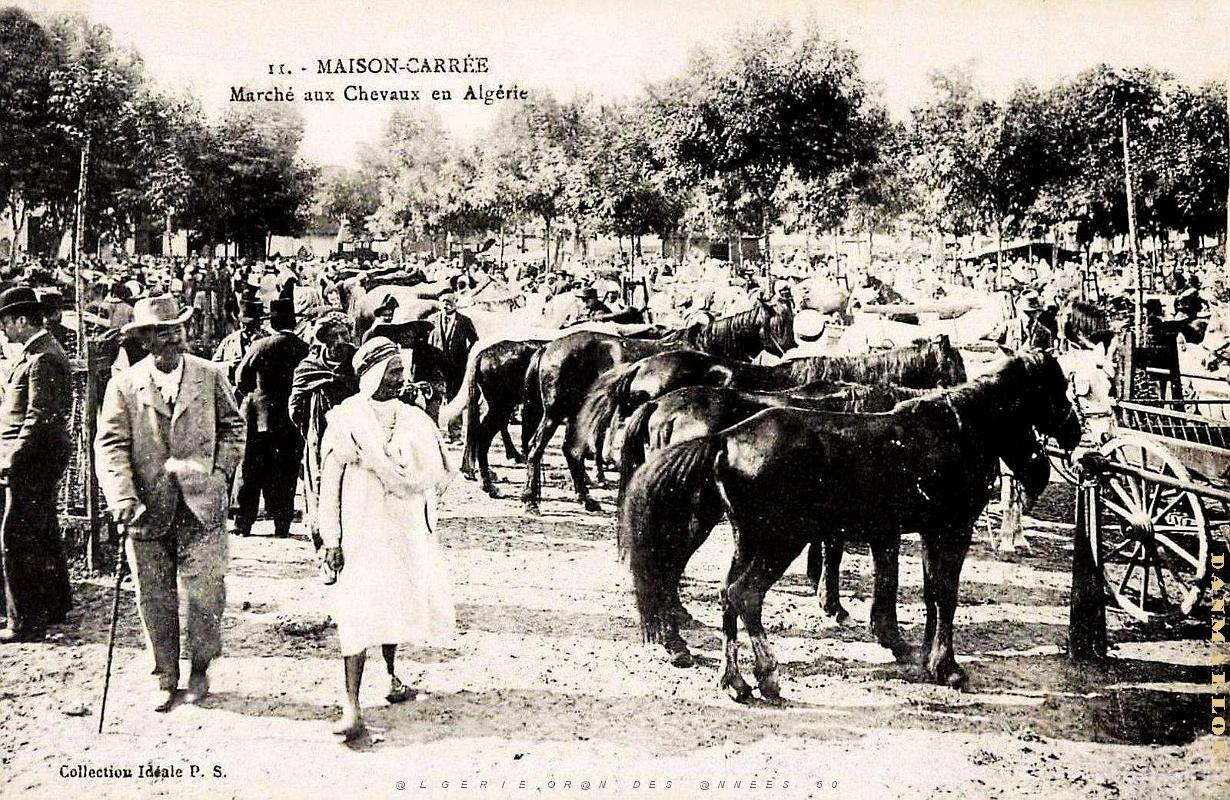 Maison-Carree - Marche aux Chevaux.jpg